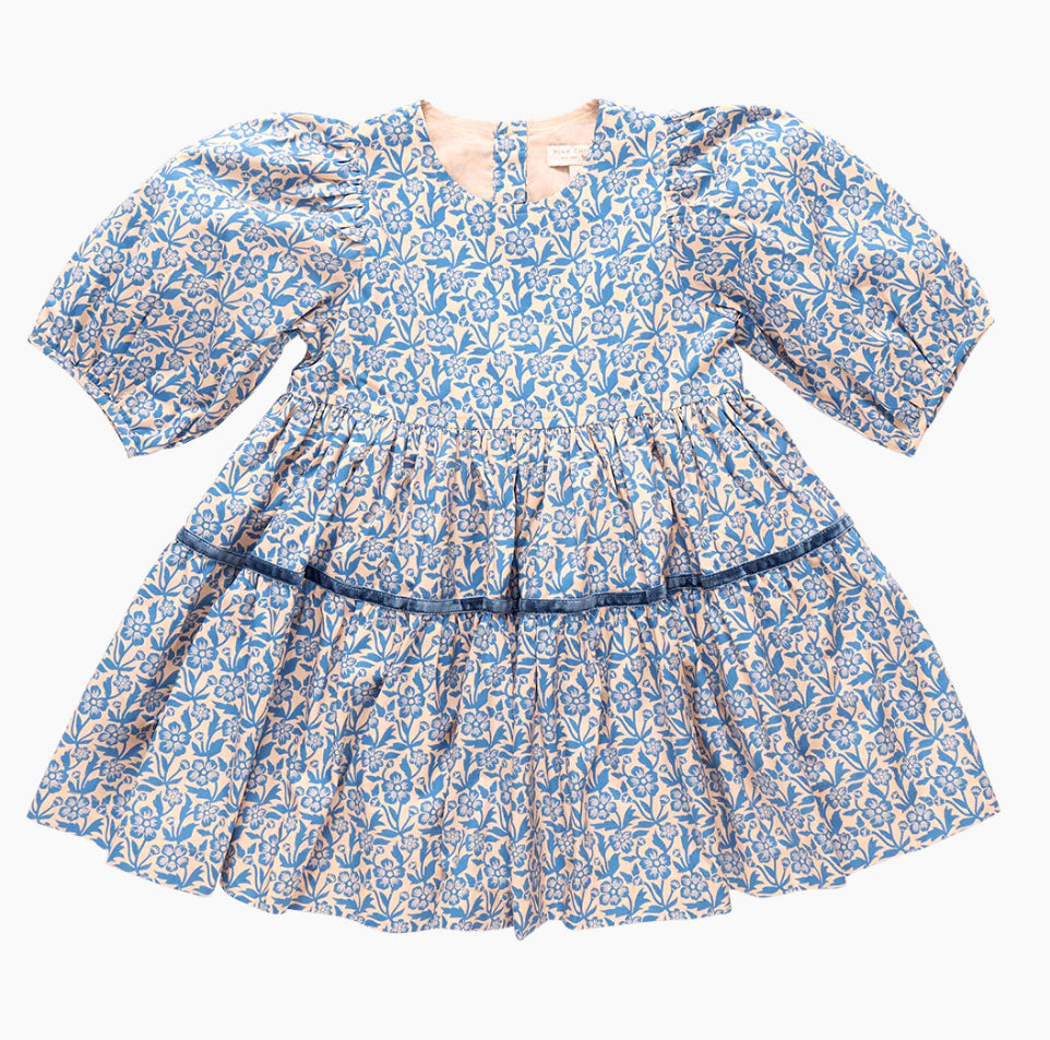 Pink Chicken: Girls Maribelle Dress - Blue Climbing Floral