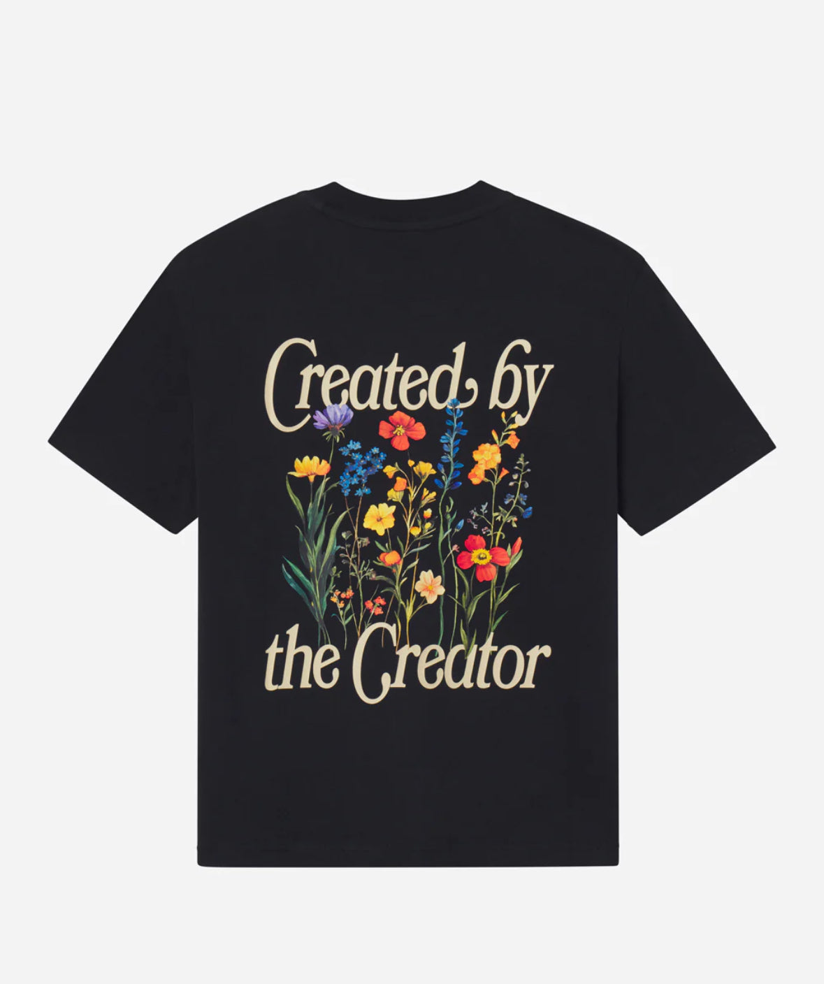 Elevated Faith: Creates By The Creator Unisex Tee (Adult)